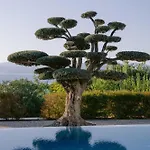 Hotel Hiddenbay Teos Seferihisar
