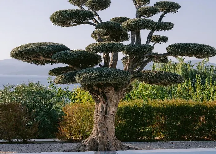 מלון Hiddenbay Teos ספריהיסאר